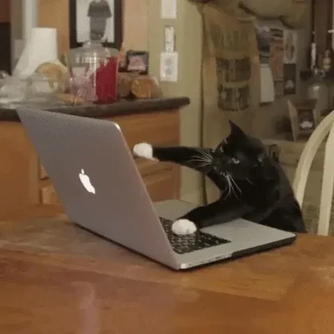 Typing Cat